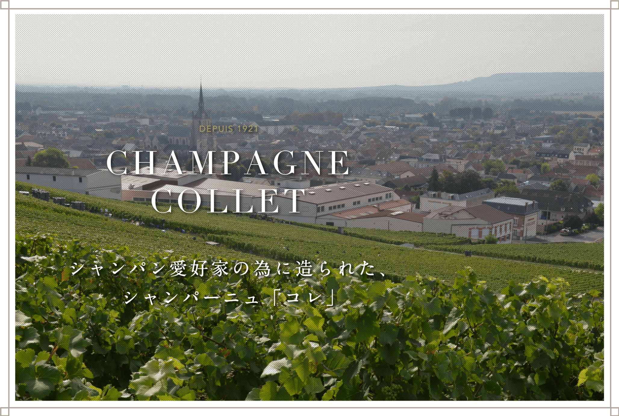CHAMPAGNE COLLET | シャンパーニュ「コレ」日本サイト